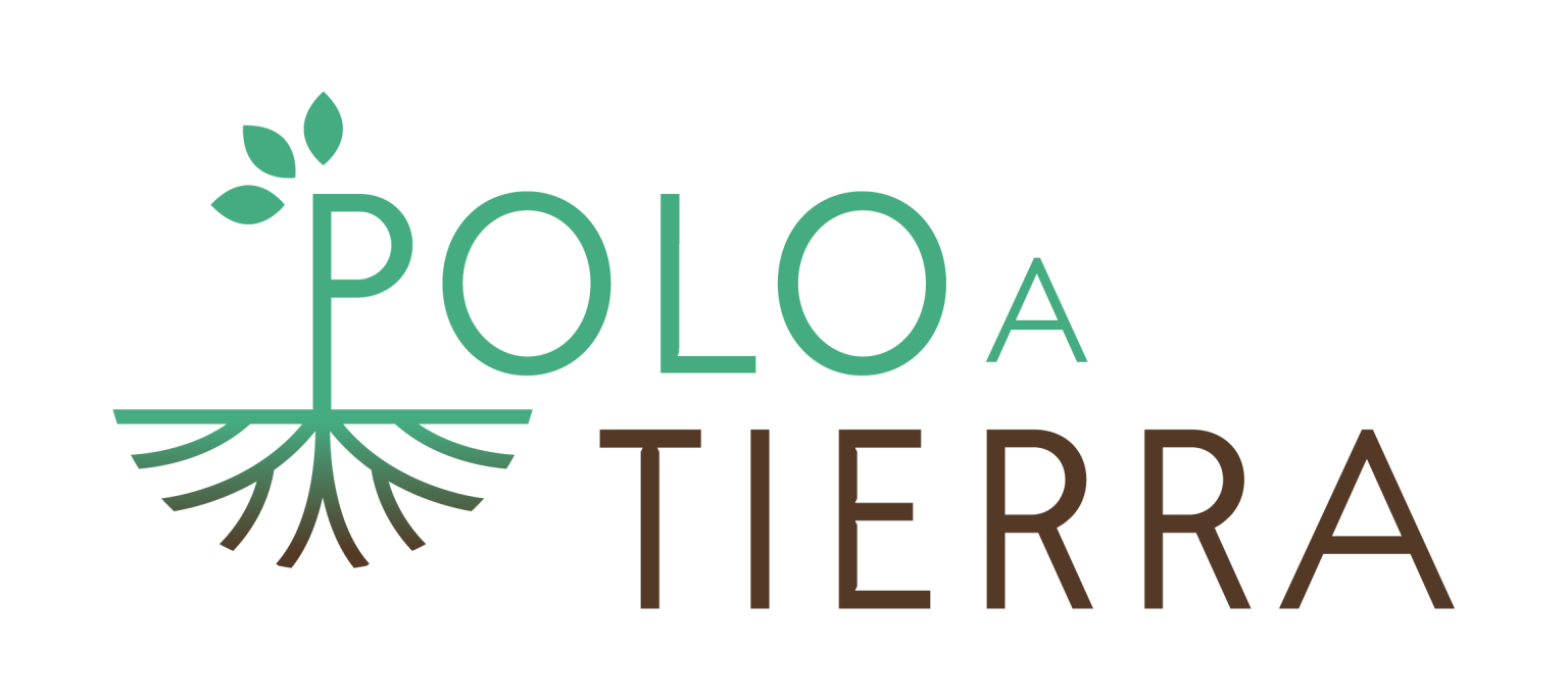 Polo_a_tierra